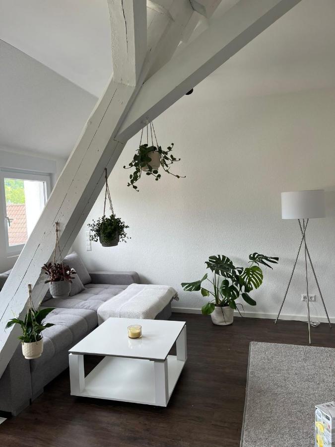 Stauffenberg Apartments Albstadt Dış mekan fotoğraf